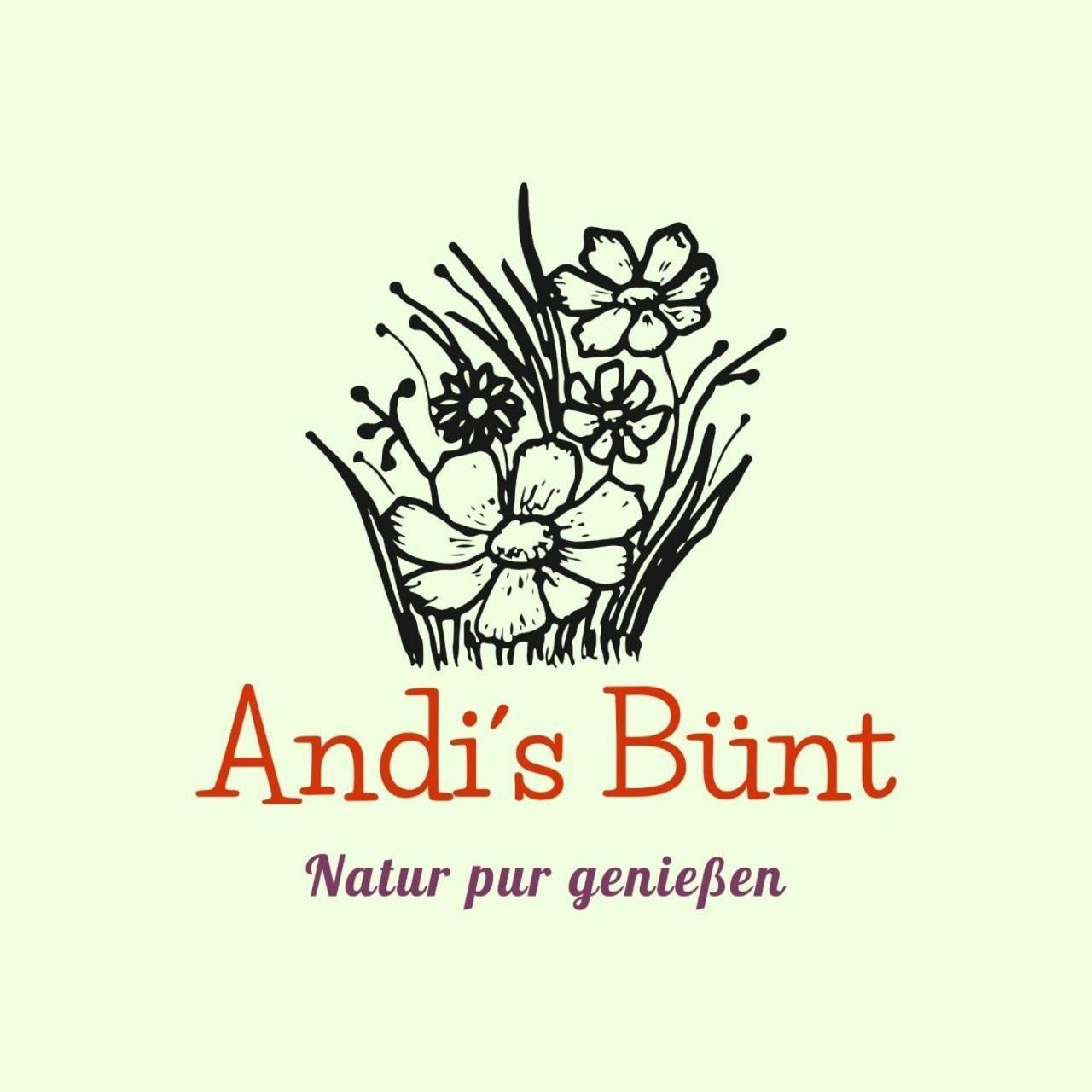 Andis Buent Villa Bizau Ngoại thất bức ảnh